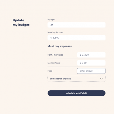 Metro Penny Finance Landing Page Mock Up 2